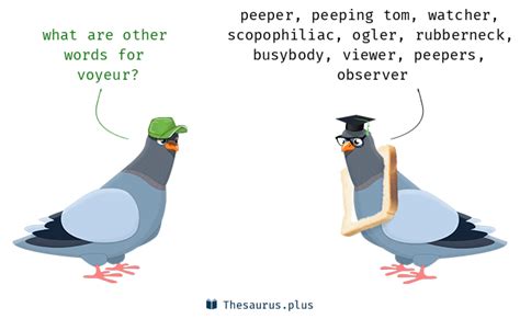 opposite of voyeur|Voyeur Synonyms: 2 Synonyms and Antonyms for Voyeur.